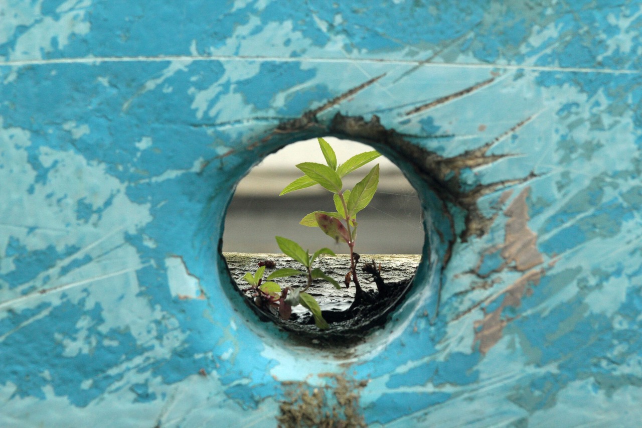 Handling Stress with Resilience - Techniques You Need to Know